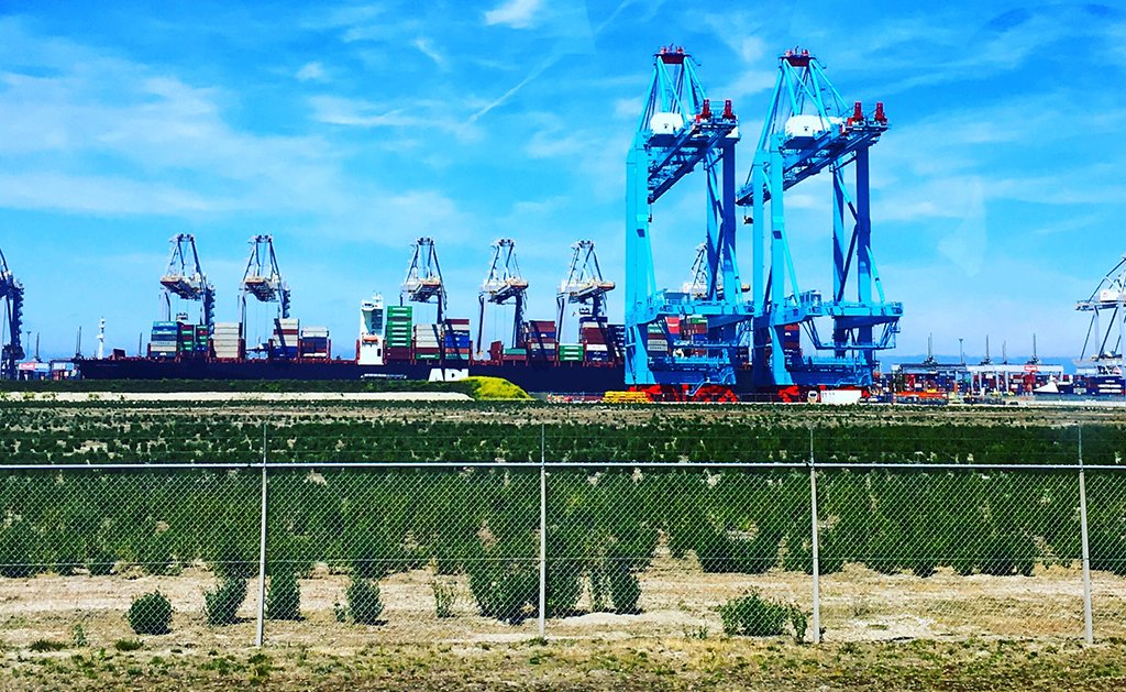 warpagency's tweet photo. Last week, our team had a field trip at the @portofrotterdam. We spent the day at Maasvlakte 2, learning more about the inner workings of the terminals and admiring the view. It was amazing to see how our work for the Streamline project impacts the day-to-day operations! https://t.co/9Suf59MTDV