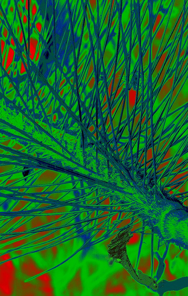 StrathImages's tweet photo. Turns out midgies have their uses! Find out how Strathclyde researchers are studying this bane of the Scottish summer to find inspiration for technological advance in the miniaturisation of hearing aids: https://t.co/kphOn84hNQ #StrathImages #Images2018 #HIW2018 https://t.co/hEqJNTiMBo