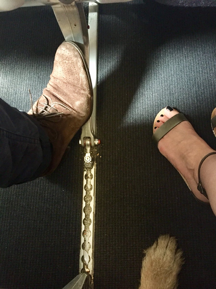 nitamousso's tweet image. Coucou @AirFranceFR le chien en cabine sous mon siège c’est normal ?
Parce qu’à 370€ le Paris/Biarritz j’aurais aimé choisir le chien !