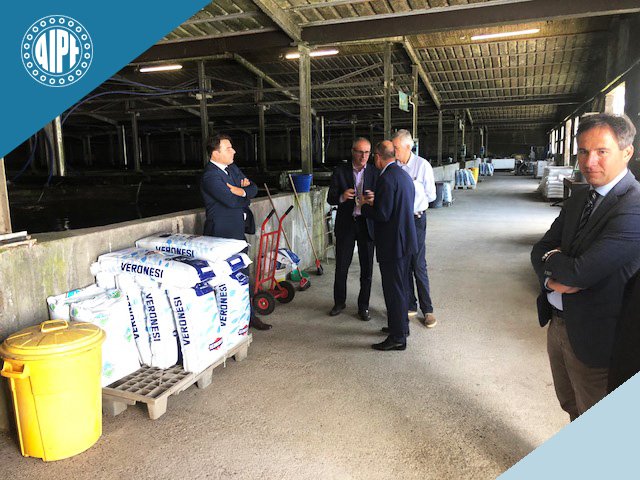 aipe_web's tweet photo. Il Consiglio Direttivo dell’Associazione AIPE visita il laboratorio di Agroittica Lombarda di Calvisano, un allevamento di storioni per la produzione delle uova per caviale, diventato ad oggi un’eccellenza tutta italiana. #madeinitaly 
https://t.co/tAp0rMAxPh https://t.co/bfSh31dhfy