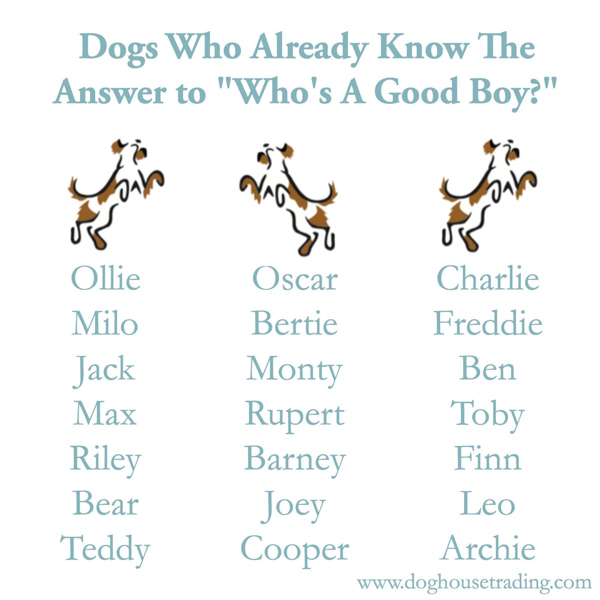 Sometimes you just know it's you! 😍#whoisitisityouyesitis #doglovers #dogsoftwitter
