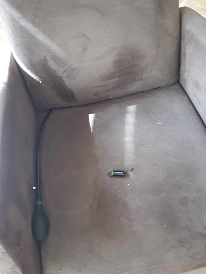 Angelique de Wit Purrs4Peace tweet media