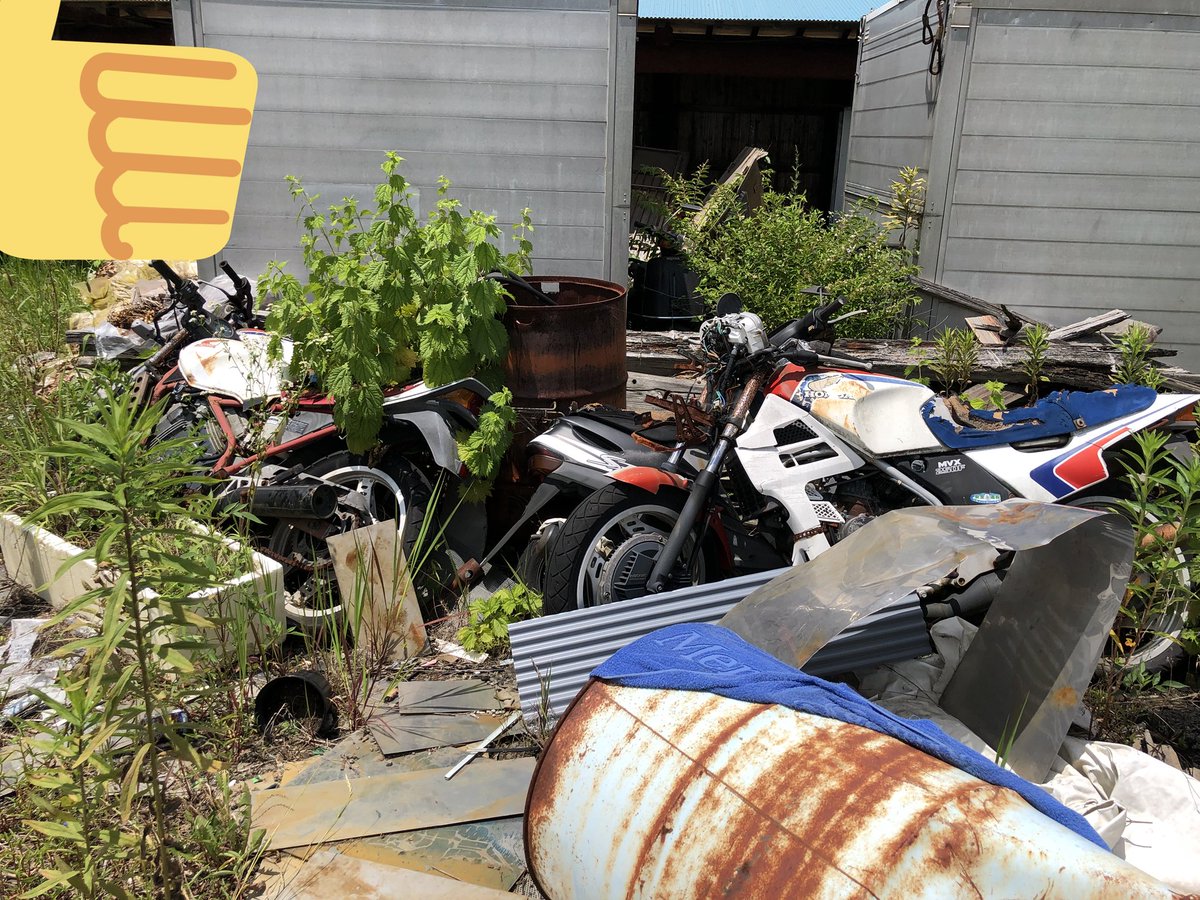 rr0720n's tweet photo. バイクぶんながってる所いって一番興奮した所
先週の日曜いってきた
4枚目やばいよなー🙄 https://t.co/1Epv1WxxWe