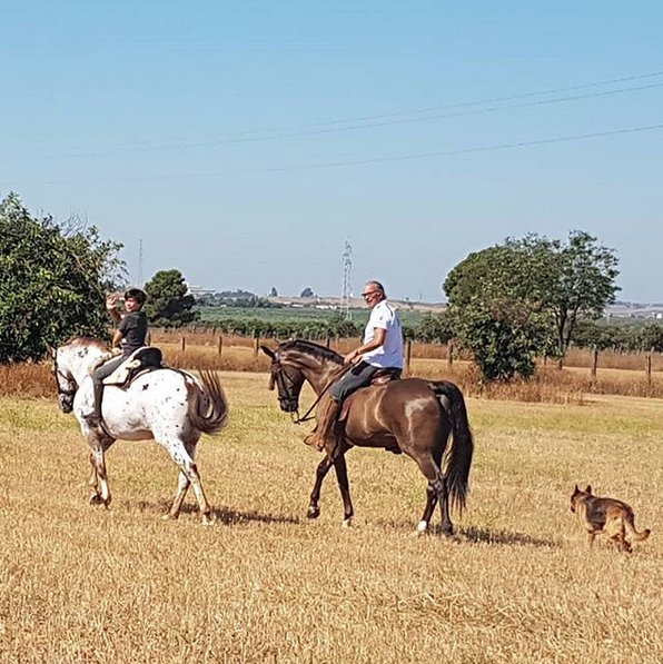 BertinOsborne's tweet photo. Vacaciones en familia 🐴 🐴 🐴  @FabiolaOsborne_ https://t.co/16DqbPRD1R