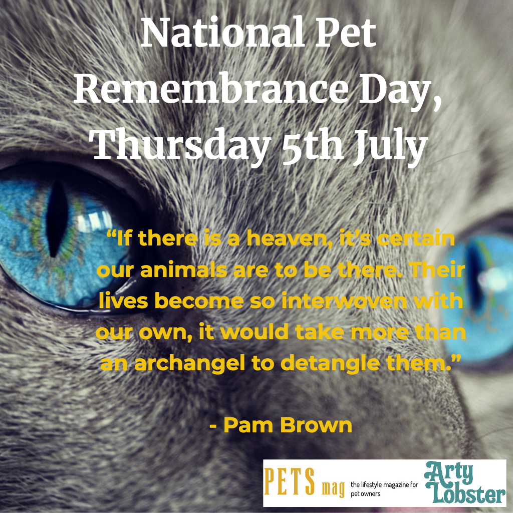 Pets_Mag's tweet photo. It's national #PetRemembranceDay today. Please take a moment to share stories, tears and photos of your loved pets who have crossed the #RainbowBridge 🌈 💕🐱 🐶 #RunFree #dogs #cats #furbaby #furbabies🐾 https://t.co/m4DbALE5vq