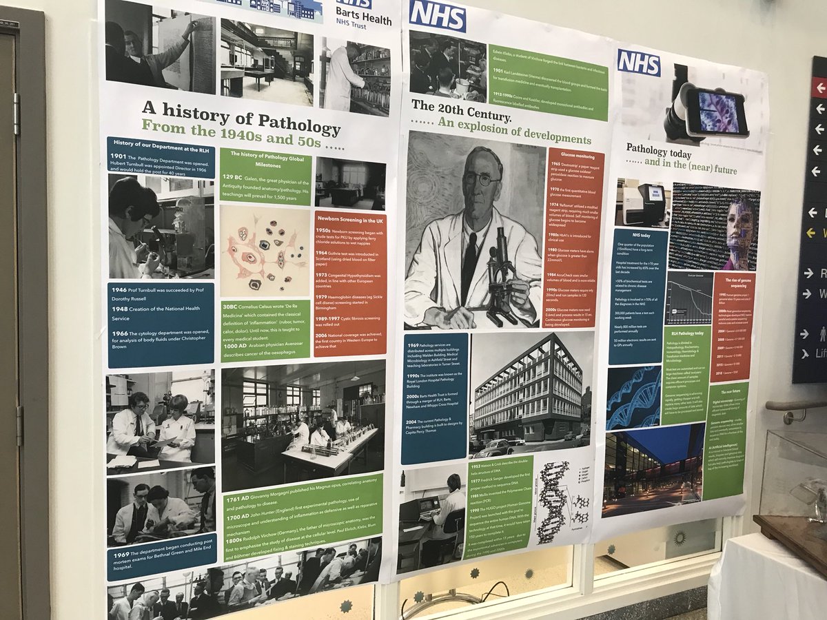 Hazel R.Murwisi tweet media