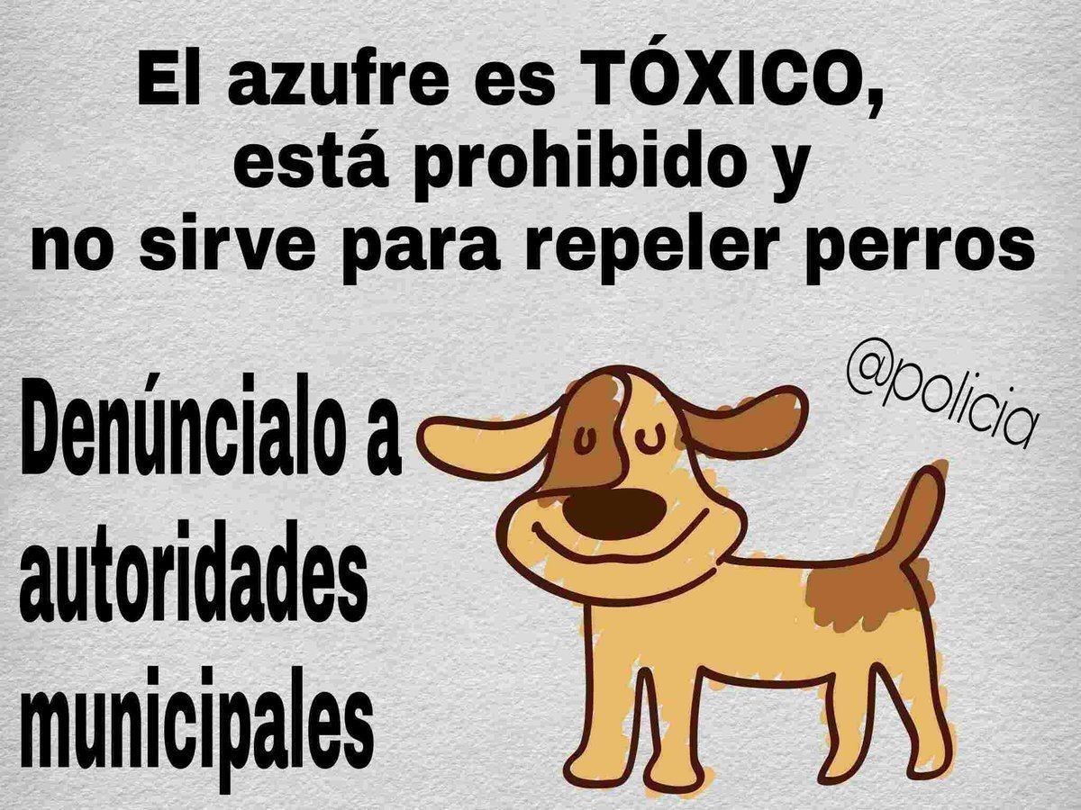 policia's tweet photo. El #azufre en las aceras no evita que las #mascotas orinen y es tóxico☠️ para animales🐶🐱 y humanos👨‍👩‍👧‍👦 https://t.co/oyIz0KgmG6
