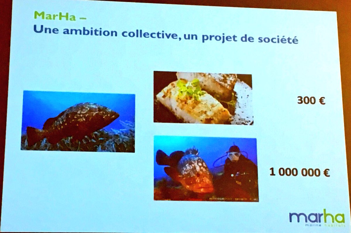 sharoonas's tweet photo. Marine conservation. Kick off meeting of LIFE Nature Integrated Project for effective and equitable management of marine habitats in France - MarHa #LIFEprogram https://t.co/rnL40Db2OP https://t.co/6IESqxzBJe