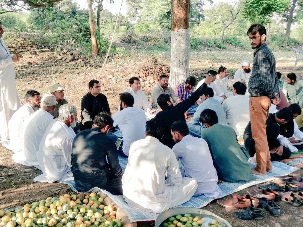 UmrPTI's tweet photo. Mango party #watala https://t.co/zLBsd6uwR9