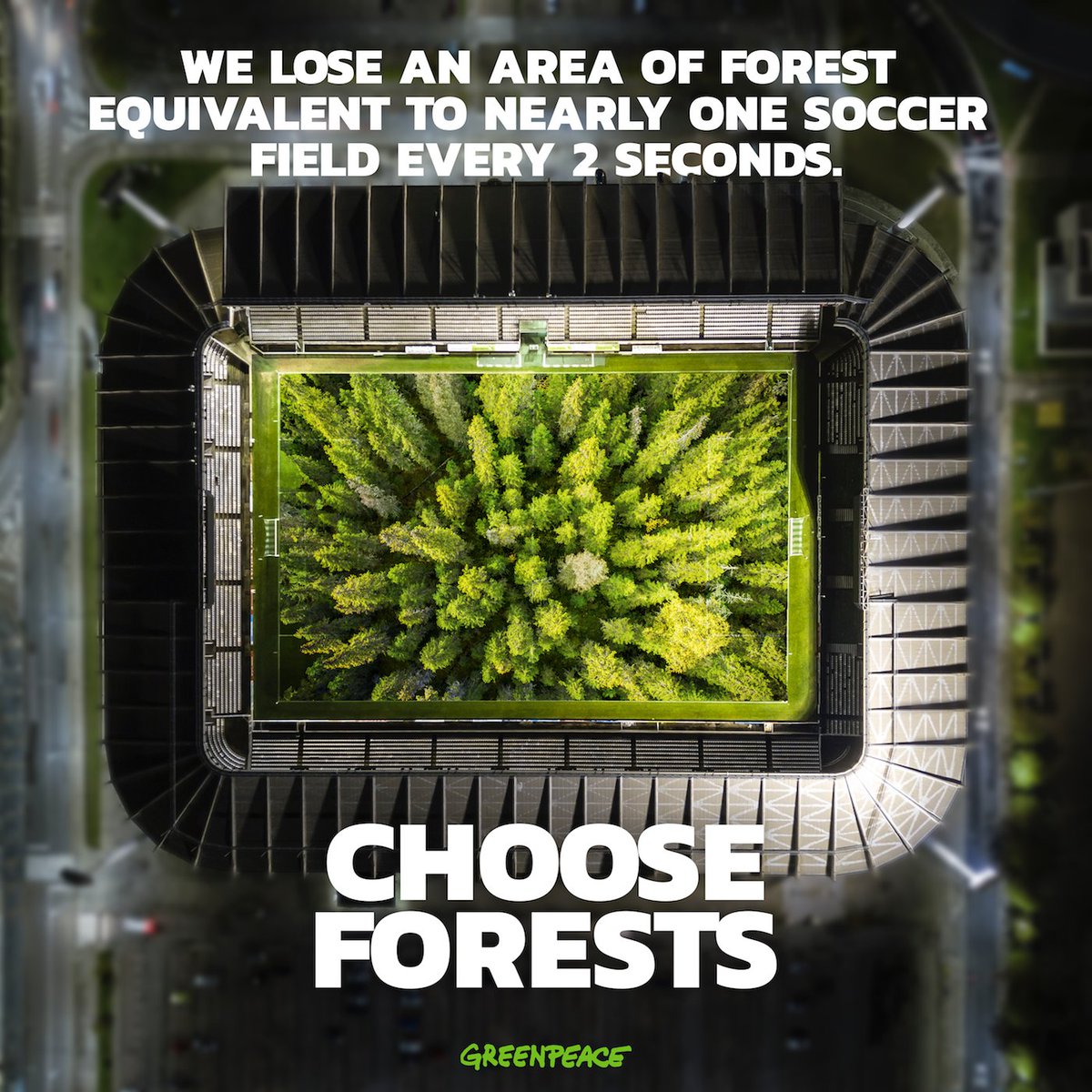 Greenpeace's tweet image. Forests need a voice, they need your voice. Choose forests – join the movement! #GreatNorthernForest
act.gp/2tUIbrP