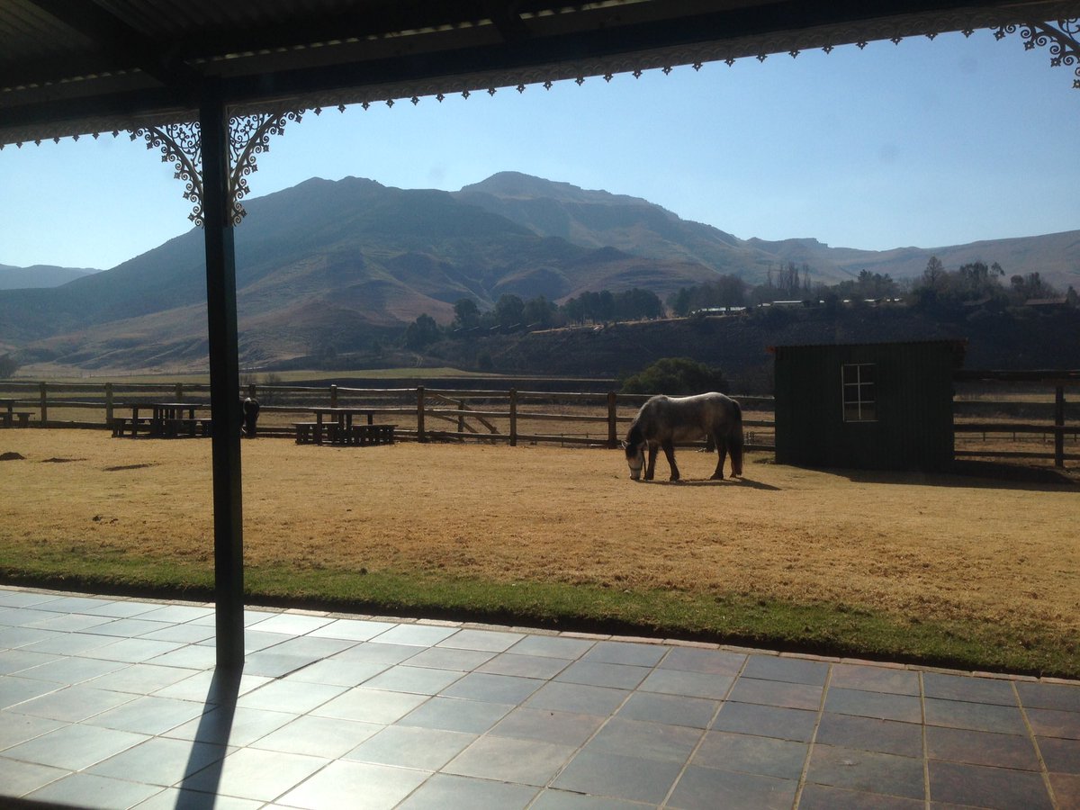 MelanieRoux's tweet photo. My view outside my office window #Bushmansnek #Drakensberg #NewEnglandFarm https://t.co/vVHVhXEJGg