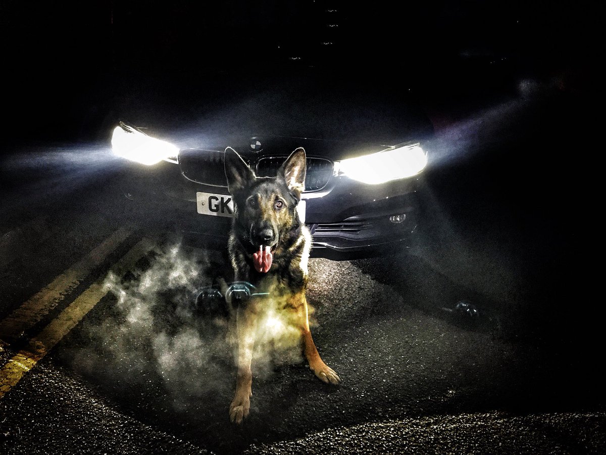 KentPoliceRoads's tweet photo. All the team wishing @DerbysDogPolice PD Axle a speedy recovery after he was stabbed 4 times last night. #policedogsmatter SL https://t.co/wetPXWxxsf