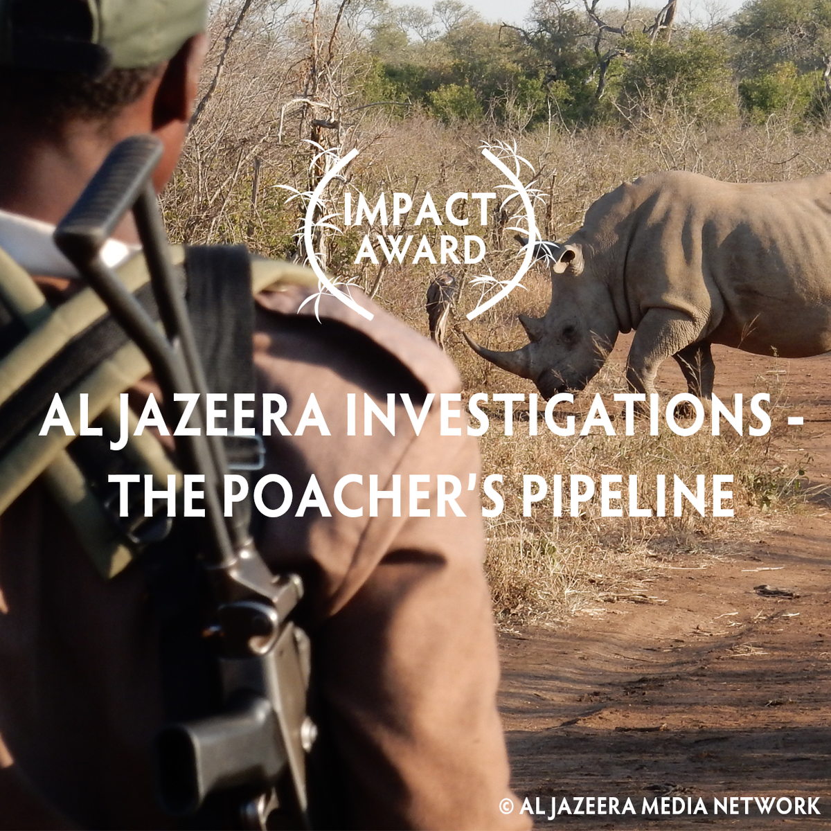 WildscreenFest's tweet photo. 🤜Impact small budget🤛
🦏 Al Jazeera Investigations - The Poacher's Pipline
🦔 Hedgehog Close
🐸 Toad People https://t.co/xOkI8ajPAD