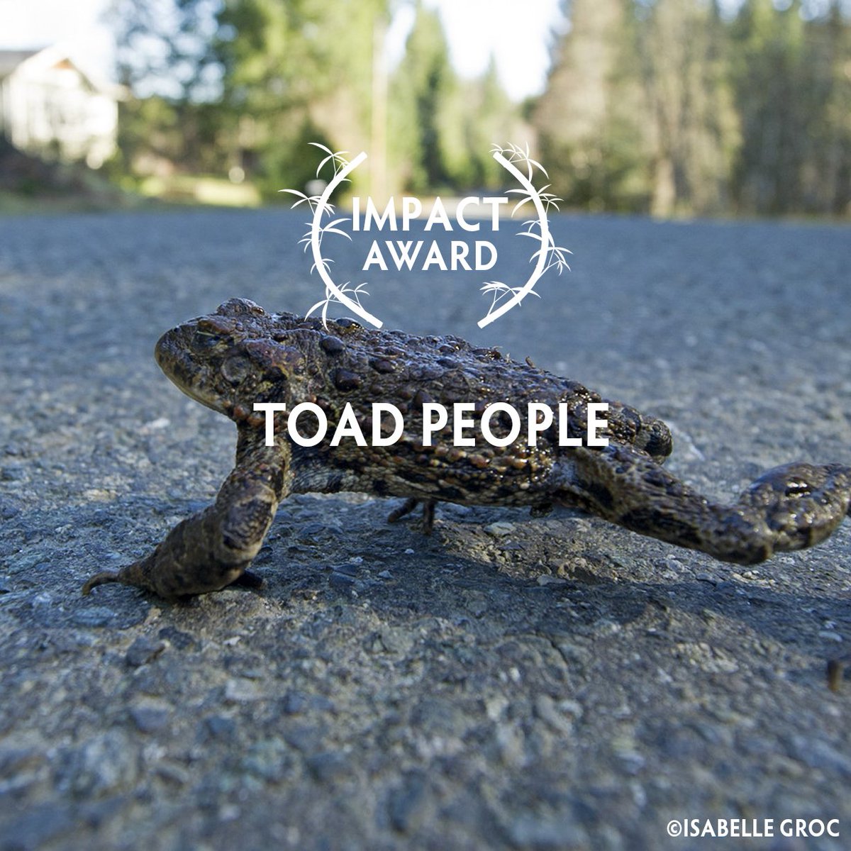 WildscreenFest's tweet photo. 🤜Impact small budget🤛
🦏 Al Jazeera Investigations - The Poacher's Pipline
🦔 Hedgehog Close
🐸 Toad People https://t.co/xOkI8ajPAD