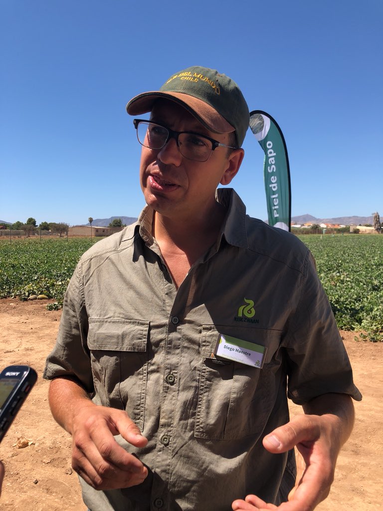 RevistaMercados's tweet photo. #globaleven18 @diego_maestre nos ecxplica que vamos a ver en el campo, porque global significa mucho más que tener variedades para todo el mundo, sino que también hay contactos con empresas de todo el mundo #melonmurcia #sandiamurcia @rijkzwaanES https://t.co/heDQw5Jy7s