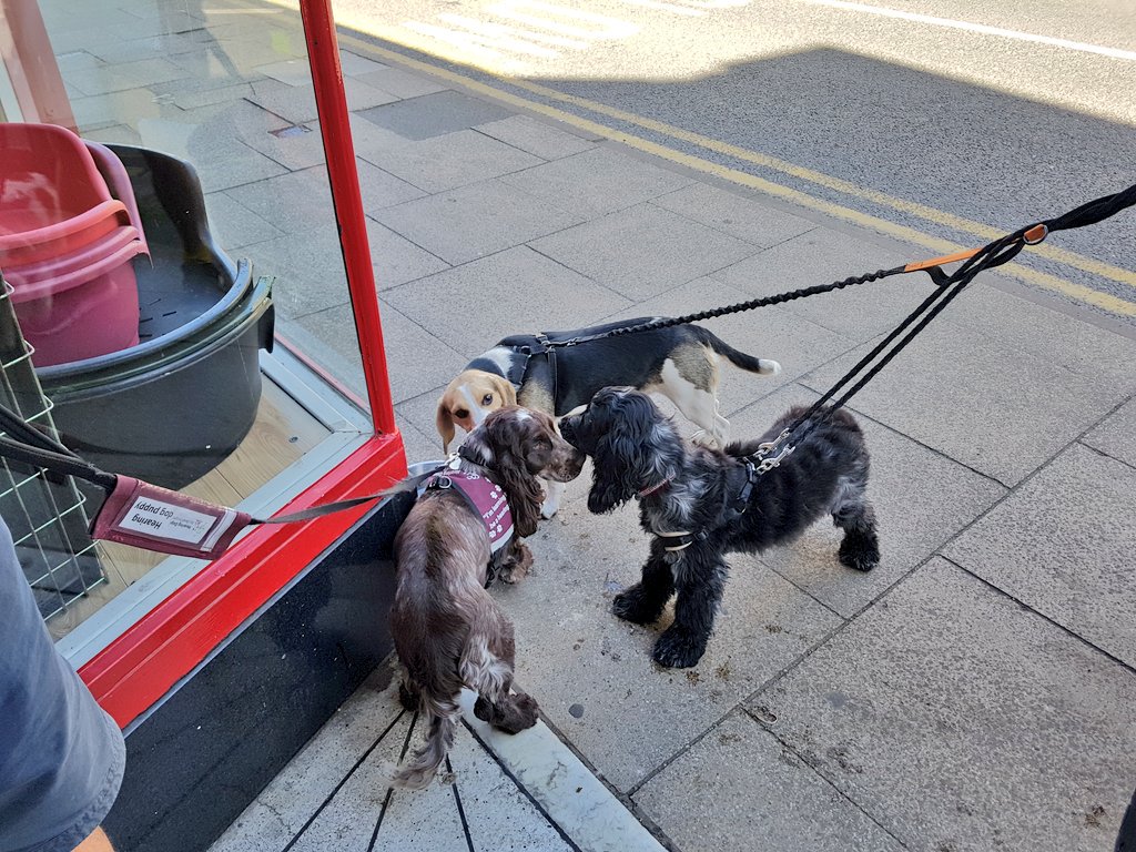 The greatest gathering of all time!
Is this a dream??? So many good boys and girls! 🌼🌼 my heart 💗💗 #elevenseshour #MaccHour