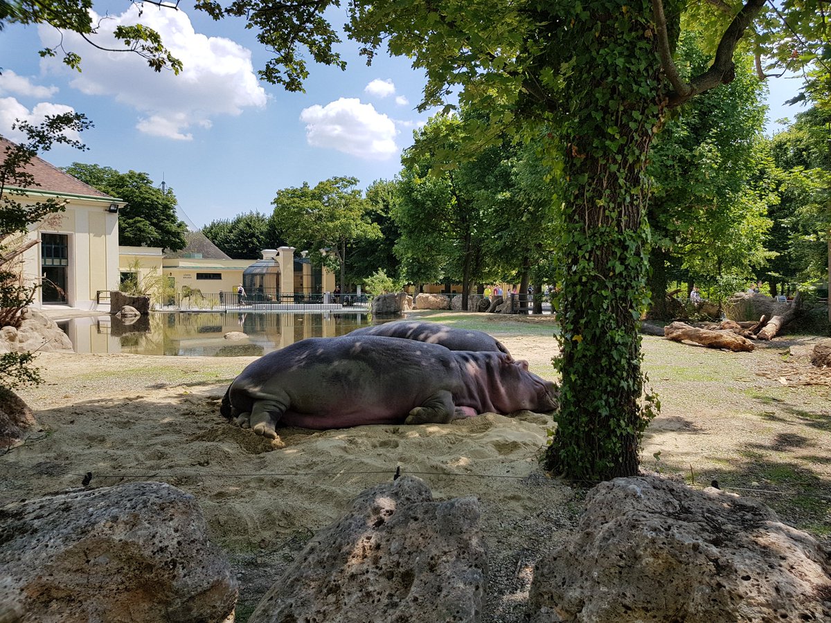 Aleksander Fabijan tweet media