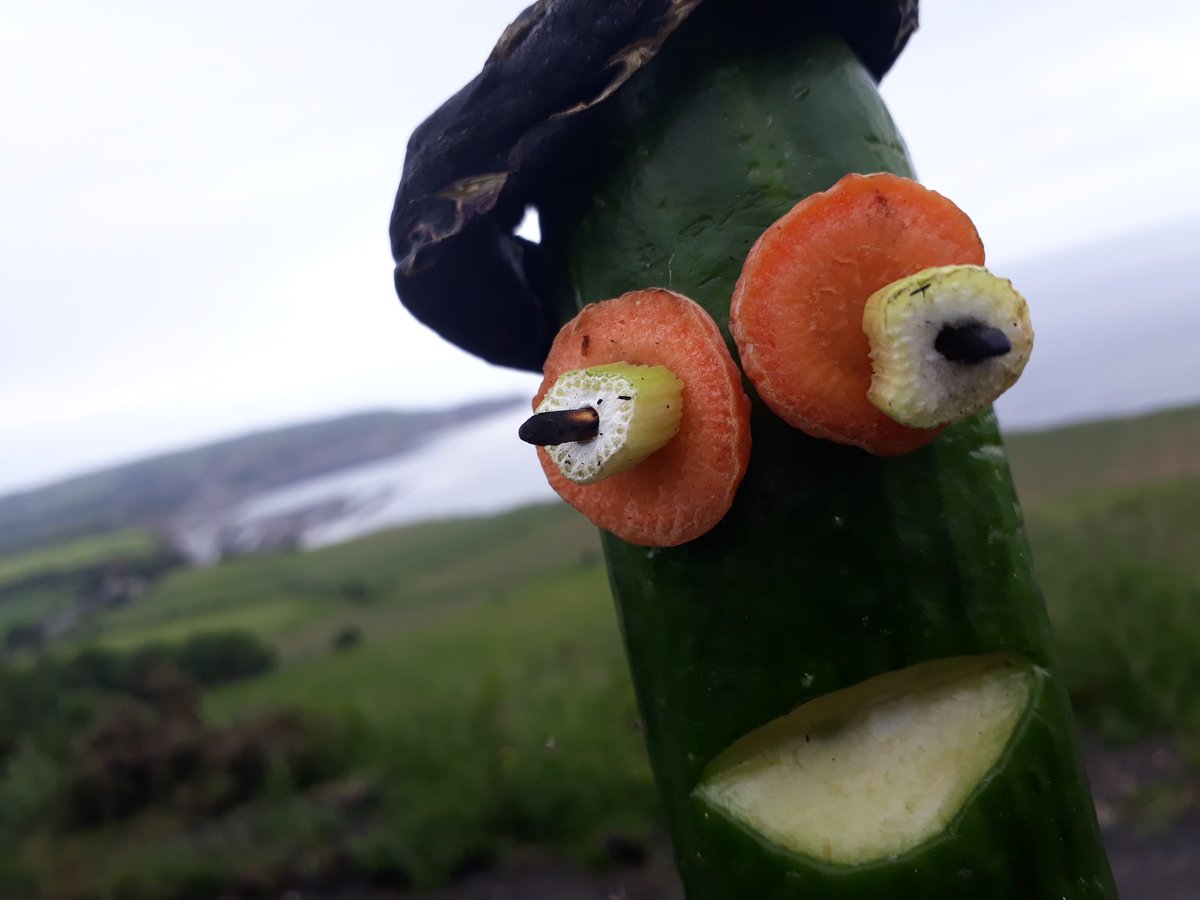 @EUFIC @stopwasteorg @saving_food @FoodNutriMag @nodesperdicio @nofoodtowaste17 @AttackFoodWaste @UglyFruitAndVeg @FoodMentum @goodfoodforwho Cap'n Jack Marrow agrees...and he'll be in my soup later to prove it! #FoodWaste #funwithvegetables