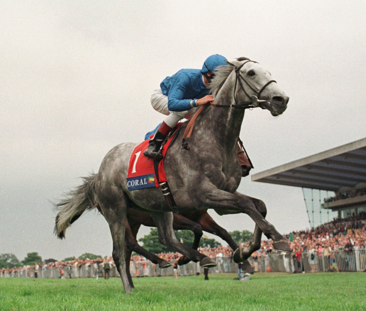 IREthoroughbred's tweet photo. The 1998 Coral Eclipse was one of seven Group 1's won by the great DAYLAMI (IRE). Bred by the Aga Khan and owned by Godolphin, he now enjoys a happy retirement at Coolagown Stud at the age of 24 #ThrowbackThursday https://t.co/66r9K1JRRX
