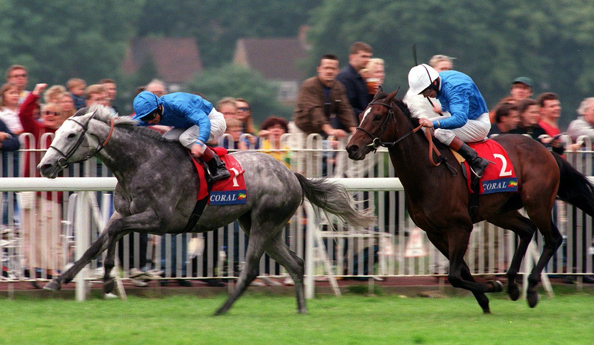 IREthoroughbred's tweet photo. The 1998 Coral Eclipse was one of seven Group 1's won by the great DAYLAMI (IRE). Bred by the Aga Khan and owned by Godolphin, he now enjoys a happy retirement at Coolagown Stud at the age of 24 #ThrowbackThursday https://t.co/66r9K1JRRX