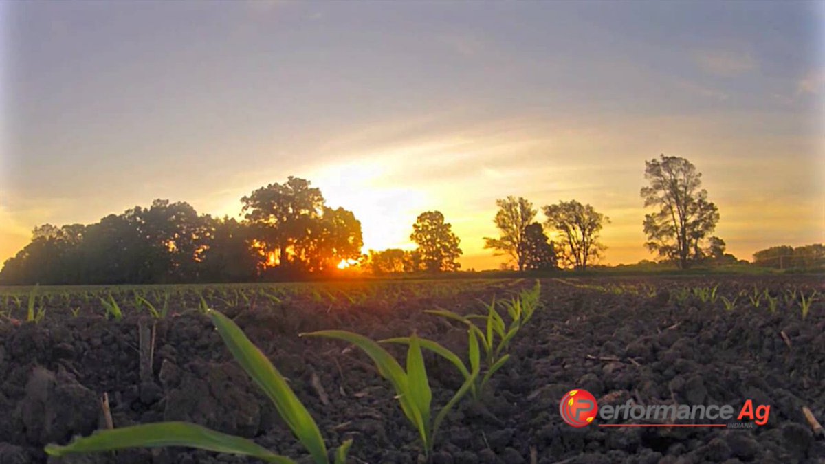 performanceagin's tweet photo. Throwback Thursday...planting season. Seems like so long ago......but #Harvest18 will be here soon! #EverySeedCounts #BinBusters #EliteSeed @ChannelSeed https://t.co/NNsukANFjE