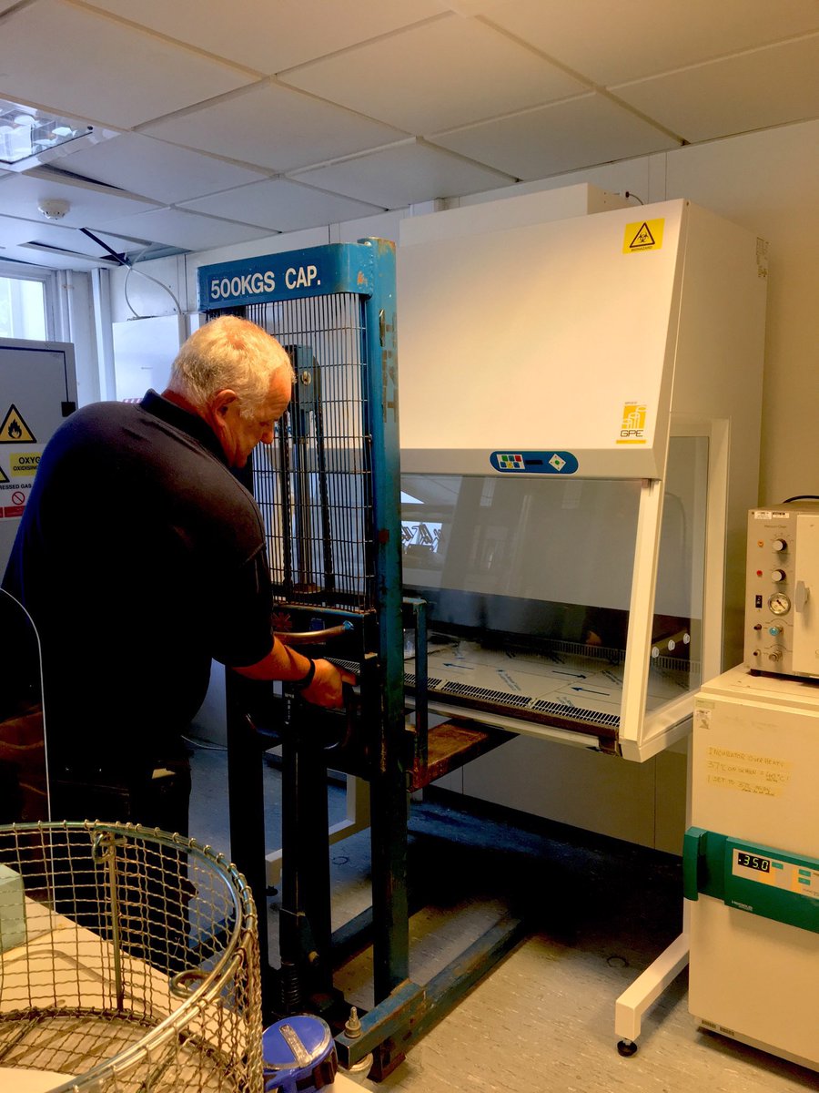 barryjohnreid21's tweet photo. Another delivery... this time to QMUL (London) - two low energy Class II MSC's being delivered in a lab with low ceiling heights. @GPEScientific #Labogene #HRHLogistics #BritishClinicalService. https://t.co/z7FKz6URU6