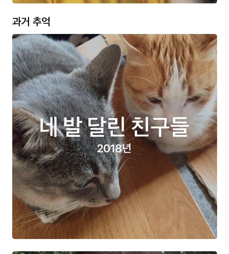 zi_gu_in's tweet photo. ㅋㅋㅋㅋㅋㅋㅋ 행님들 이거 ㅋㅋㅋㅋㅋㅋㅋ 진짜야 ㅋㅋㅋㅋㅋㅋㅋㅋㅋㅋ 아이폰이 지 맘대루 앨범 만드는데 ㅋㅋㅋㅋㅋㅋㅋ 이름이 ㅋㅋㅋㅋㅋㅋㅋㅋㅋㅋㅋㅋㅋㅋㅋㅋㅋㅋㅋㅋㅋㅋ https://t.co/olgRA2jjxP