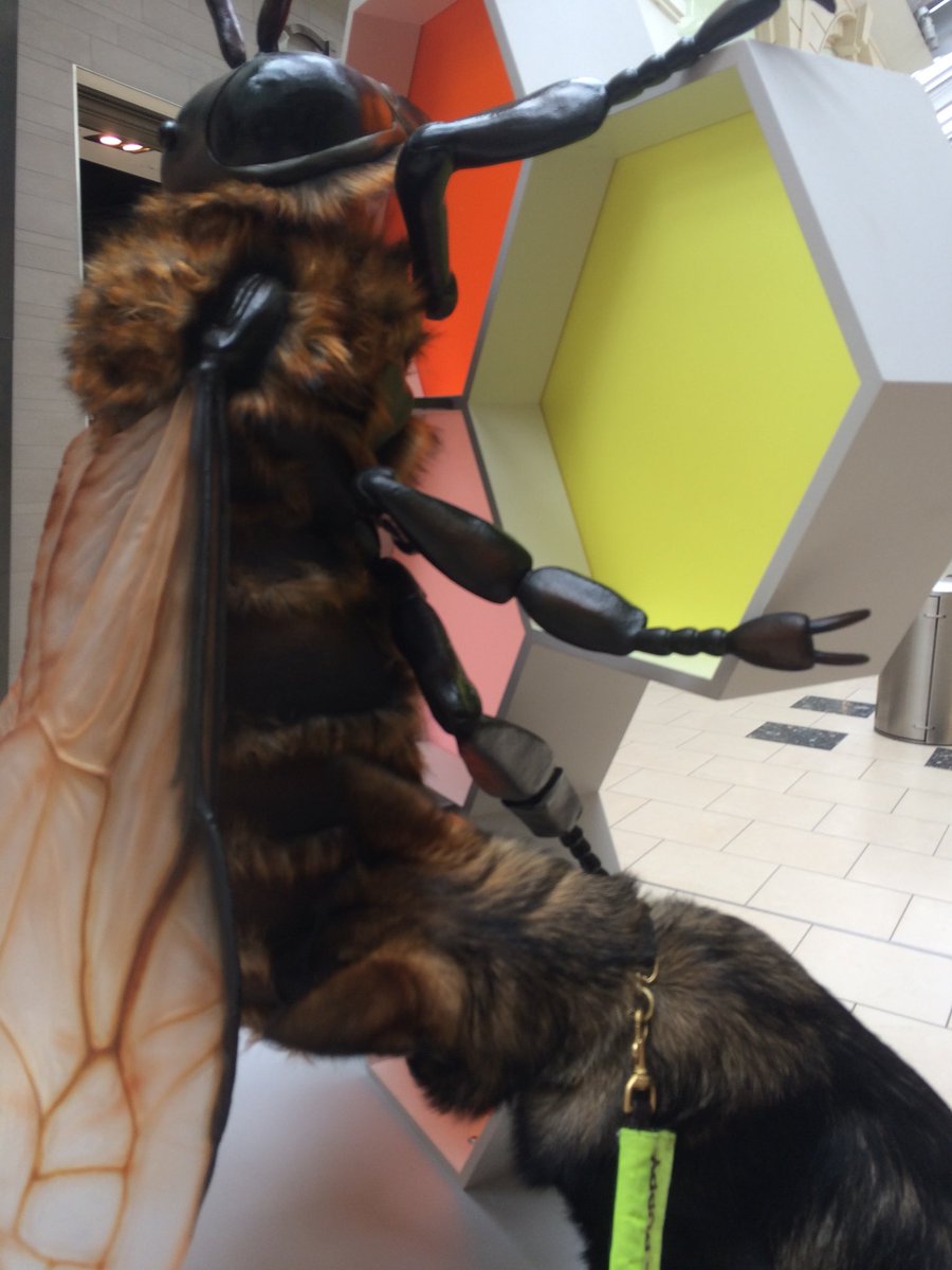 NicNic711's tweet photo. More bugs @intuLakeside #howmanylegs https://t.co/bg0duD0xK0
