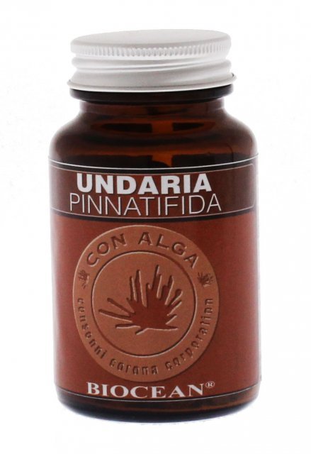 arcobaleno_pet's tweet photo. Undaria Pinnatifida 180 cpr https://t.co/fs5dvleeD0 https://t.co/VOGFtHbaRy