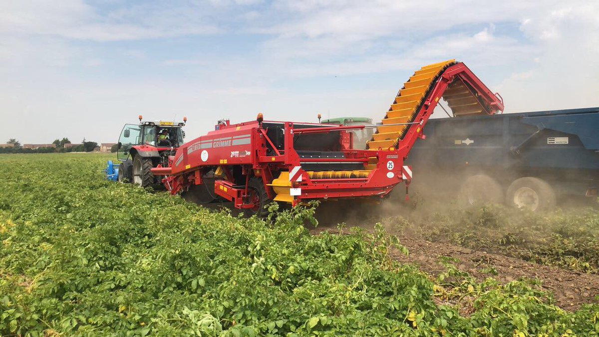 First bed of 2018 <a href="/GrimmeUK/">GRIMME UK Ltd</a> <a href="/Grimmemachines/">Grimme machinery</a>