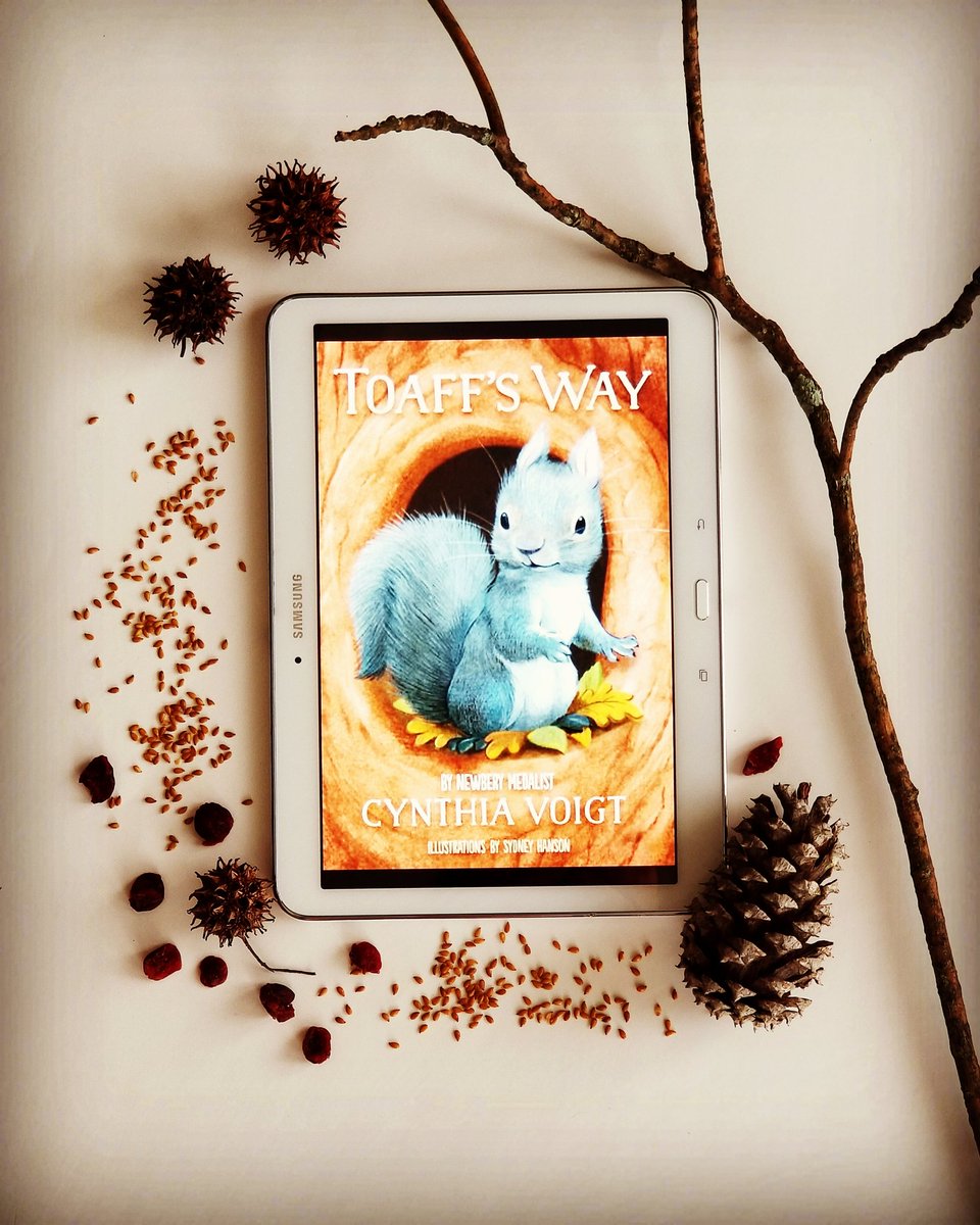 ReadzandRunz's tweet photo. To be published on August 7, 2018. This is a darling coming of age story of Toaff the adorable munchkin little Gray squirrel and his adventures. Toaff's Way by Newberry Medalist Cynthia Voigt is a delight for young readers and naturalists at heart. 🍃🐿🥜#RHCBEducators #NetGalley https://t.co/wOCYr0nyc6