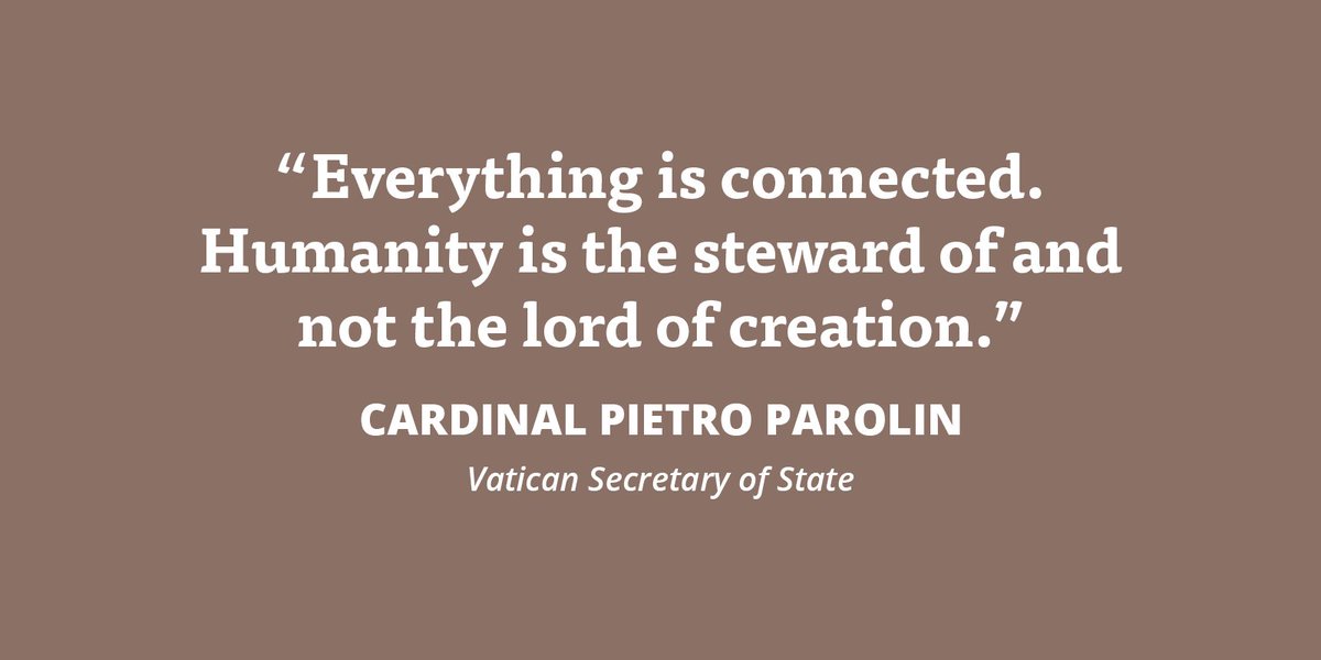 LaudatoSiMvmt's tweet image. Vatican Secretary of State Cardinal Pietro Parolin #LaudatoSi18