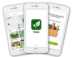 Vinder_App's tweet photo. We need your help! BETA testers needed! Our mobile apps are almost ready and we need Growers to test the app before we release it to the public. If you're interested, sign up at https://t.co/QcZ5UU1Wwf https://t.co/CTMKHNHTia