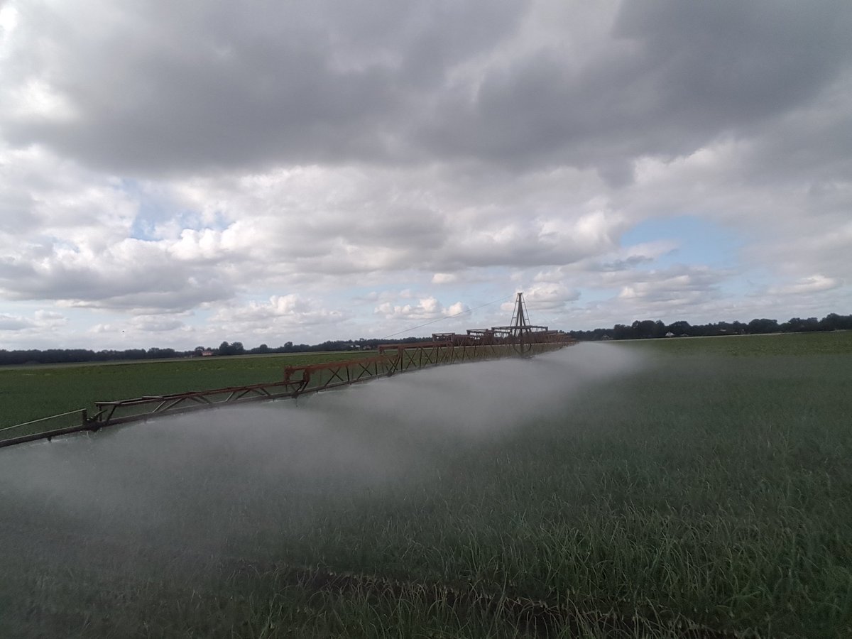 HorstingBert's tweet photo. De #uien ook maar beetje water geven, #droogte, mooie fijne druppeltjes💧💧💧 https://t.co/kIo2LSiwsB