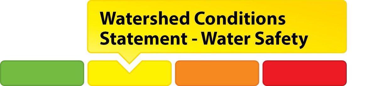 TRCA_Flood's tweet photo. #Floodmessage Watershed Conditions Statement: Water Safety in effect until July 6, 2018. @environmentca has issued a #SevereThunderstormWatch for the GTA. Isolated thunderstorms are expected this afternoon and into the evening. Read more: https://t.co/eBn03ZB6bu https://t.co/dxZ5BIFx3B