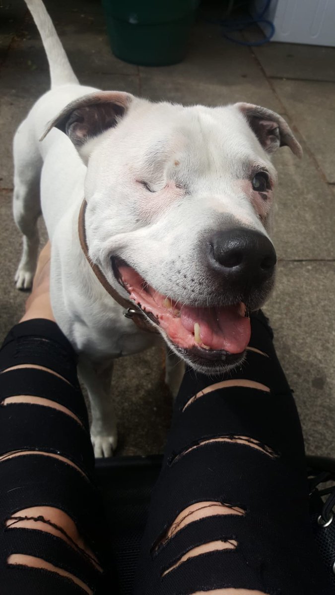 macphee1981's tweet image. 