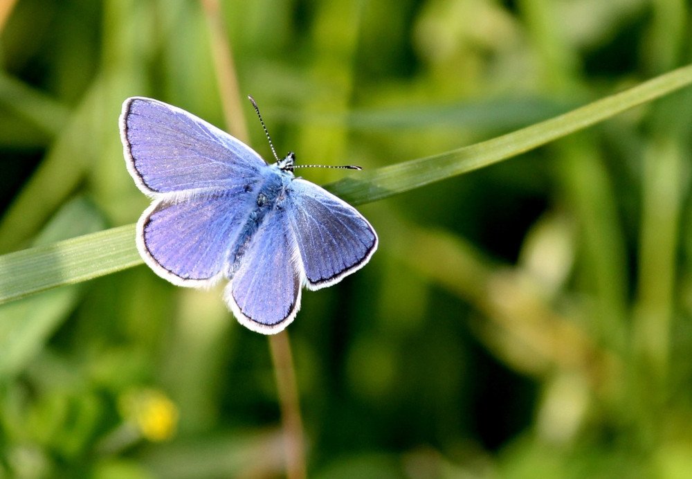 Treed jij in ons bestuur? Wij zoeken een bestuurslid Gelderse Natuur en Milieufederatie. Reageren kan tot 1 september. #vacature #bestuur gnmf.nl/nieuws/vacatur…