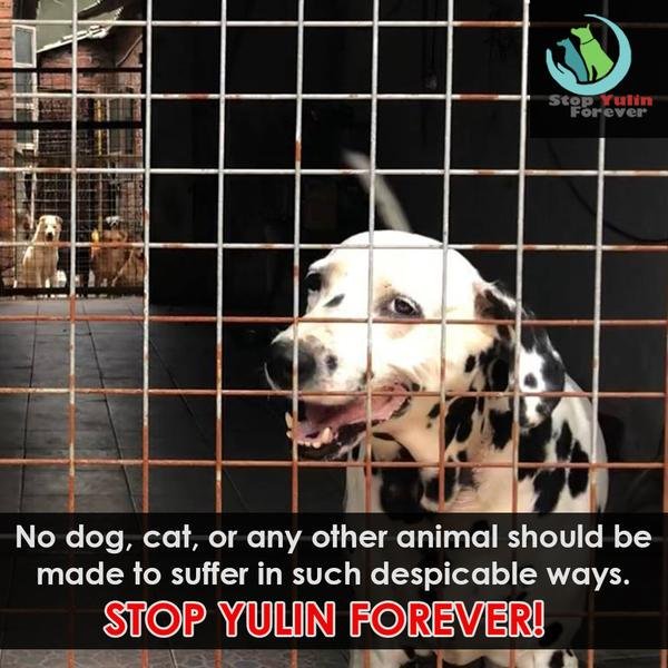 ronniejacobs417's tweet photo. WTF @CharnwoodBC is entering into an agreement with Jianyang – one of the largest dog meat trading centres in China.
https://t.co/g1W1RoKYrV
#StopYulin2018 #StopYulinForever #StopYulin #YulinFestival #YulinDogMeatFestival #Yulin @Care2 https://t.co/uwkQRLLJyP