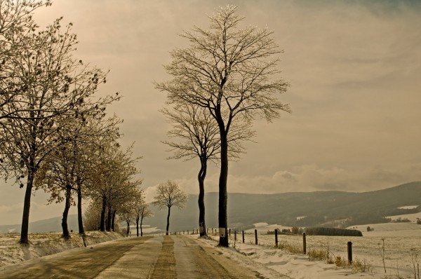 SmithRhyme's tweet photo. Sweet Chimes Of The Journey Ahead https://t.co/cnrl6Eus0g https://t.co/D9esmVEbua