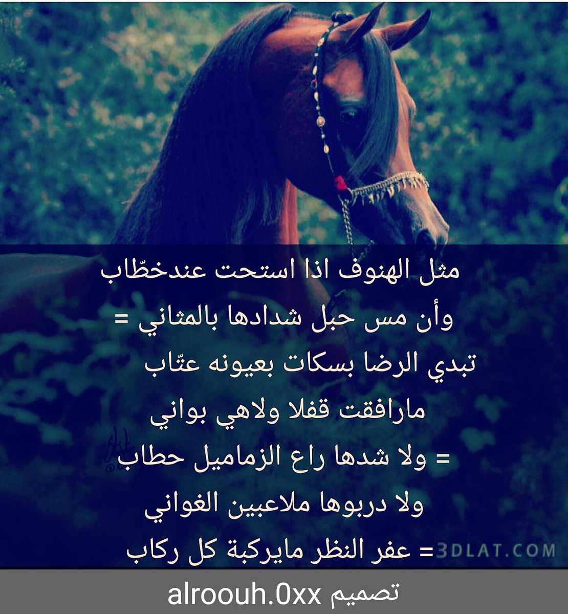 alialfriss's tweet photo. https://t.co/vS4DQ9YCAb