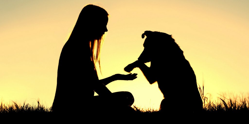 TheKennelClubUK's tweet photo. They may not be in our lives forever, but their love, companionship and memories last a lifetime!  ❤️  #PetRemembranceDay https://t.co/TS7xt5I5Iy