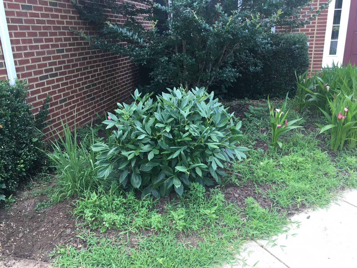 LindaHume10's tweet image. This is what happens when I spend my summer inside reading 😕#wouldratherbereading