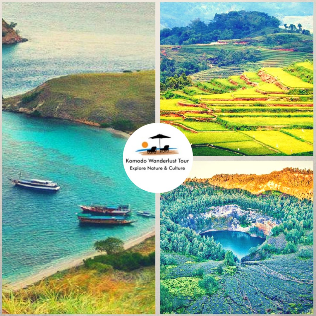 komodowanderlus's tweet photo. Make your Flores Tour a little more exciting this summer by experiencing Komodo dragon and do not miss the opportunity of viewing plenty of colourful floras. 🏔⛰ To know more visit at:
https://t.co/OaiG6lOmKc

#floras  #KomodoAdventure #TriptoKomodo #KomodoTour https://t.co/bFleRLXSiy
