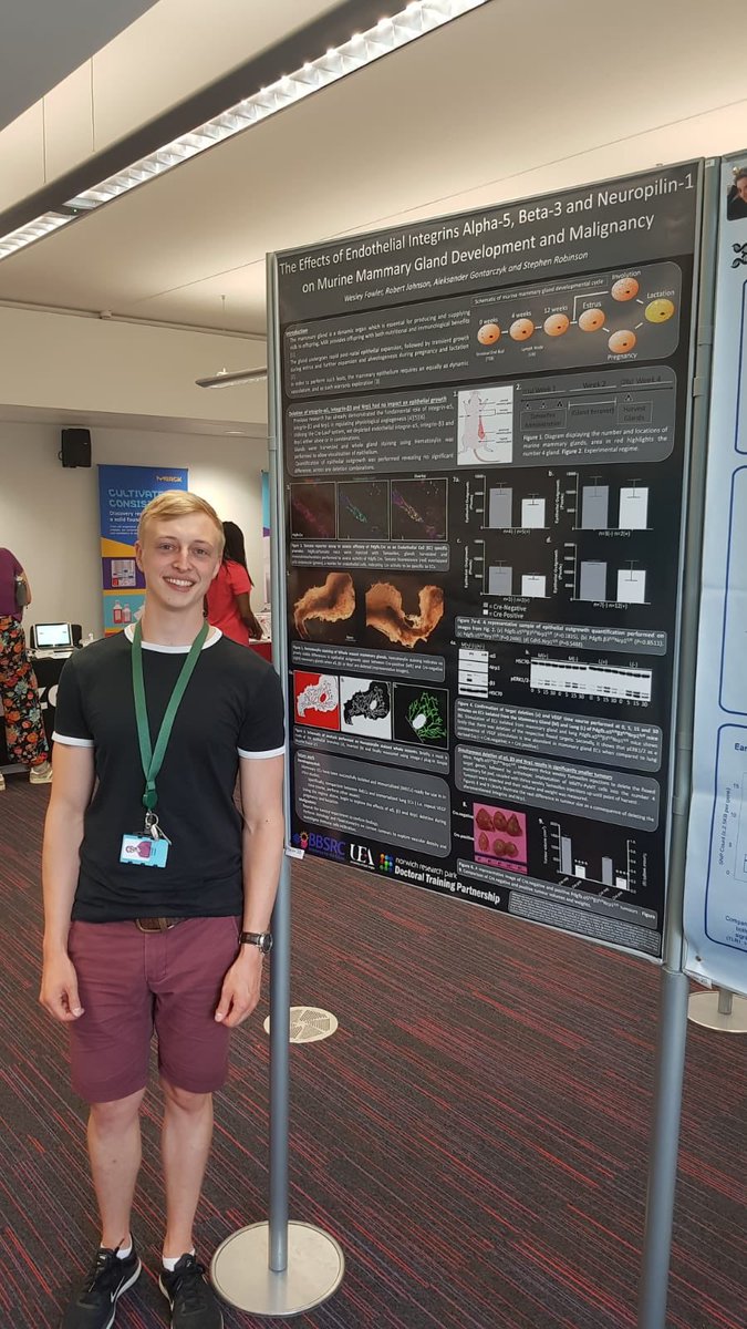 UEA_CancerRes's tweet photo. Four posters on display at the BIO colloquium today from our lab!  @KateAlice_x @Rob_T_Johnson @JordiLambert and Wesley Fowler. Come and visit in the last break! #ueabiobuzz18 https://t.co/UAXe8oHREH