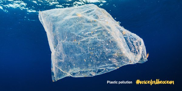 VFTO_EU's tweet photo. Biodiversity is beautiful! And plastic toxins and debris are threatening it from the inside and out. Help battle the #plasticinvasion by voicing your opinon with #vfto https://t.co/YXKQxrORcS https://t.co/CPVhnZUNRv