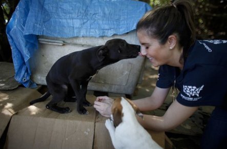 PetSmart Charities® tweet media
