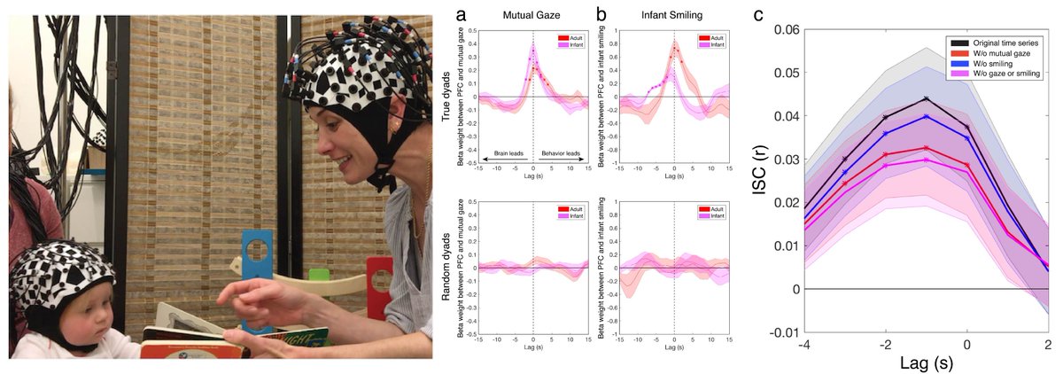 online the neuroscience of fair