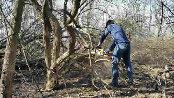 HilltopConserv1's tweet photo. Work continues at Prisoners Pond. Clearing invasive species to make way for native trees. #hilltopreservation Read about it here: https://t.co/XWhowU02sR https://t.co/inSmsbJX5X