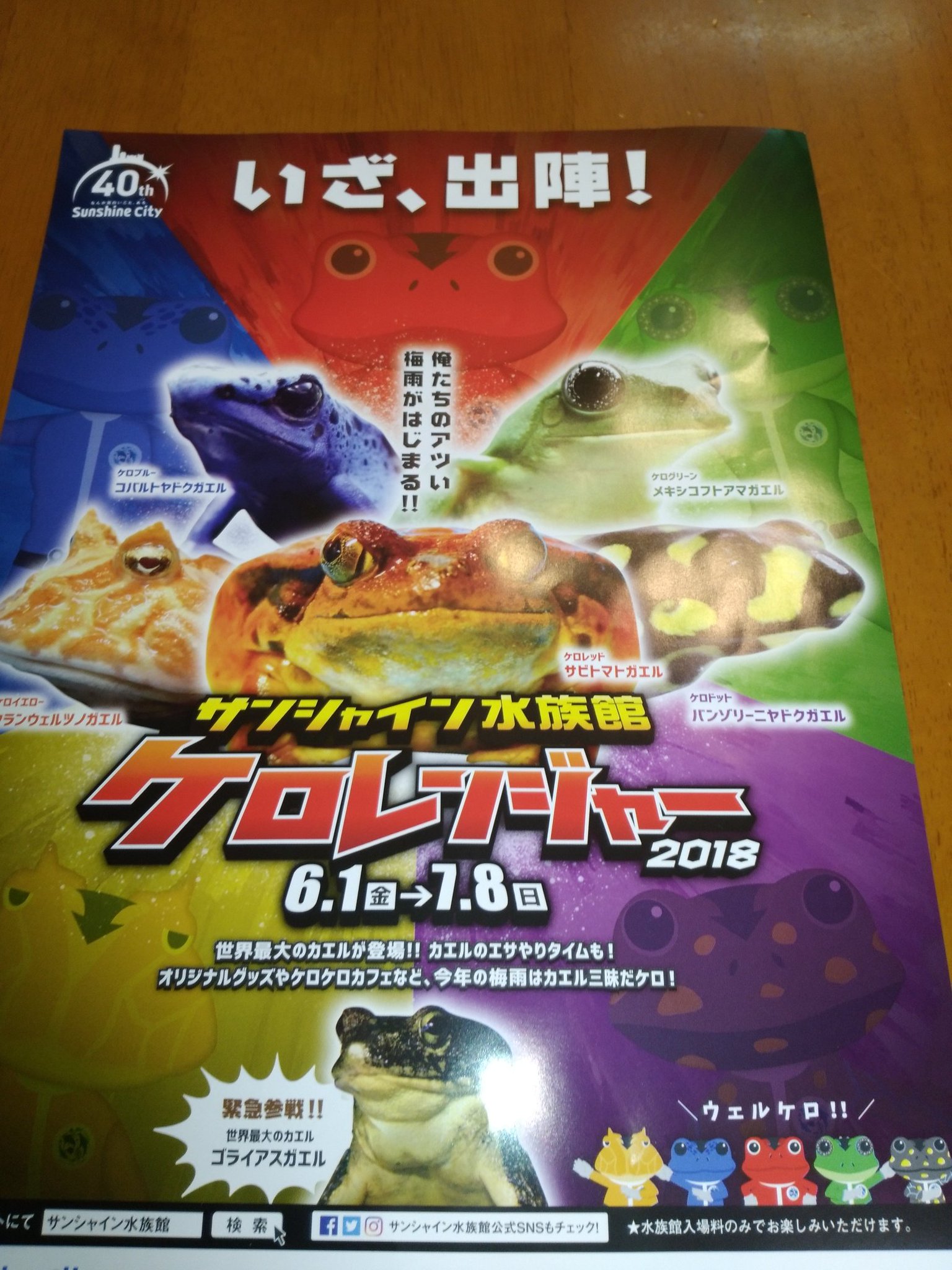 そんぴぃ V Twitter 池袋のサンシャイン水族館で開催中のケロレンジャー18で展示されていたマルメタピオカガエル のオタマジャクシが衝撃の形態 エヴァンゲリオンの使徒シャムシエル様 サンシャイン水族館 ケロレンジャー マルメタピオカガエルの