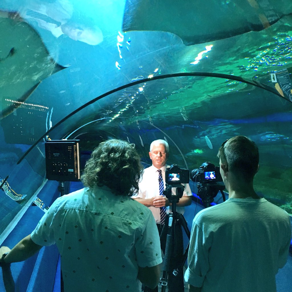 Shooting in <a href="/BluePlanetUK/">Blue Planet Aquarium</a> today. Utilising the shark tunnel 🦈📷🌊

#BluePlanet #Aquarium #Videography